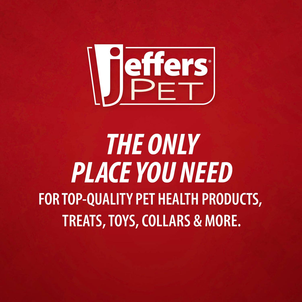 Jeffers Floating Natural Rubber Dog Chew Toy with Vanilla Scent for Dental Health and Water Play
