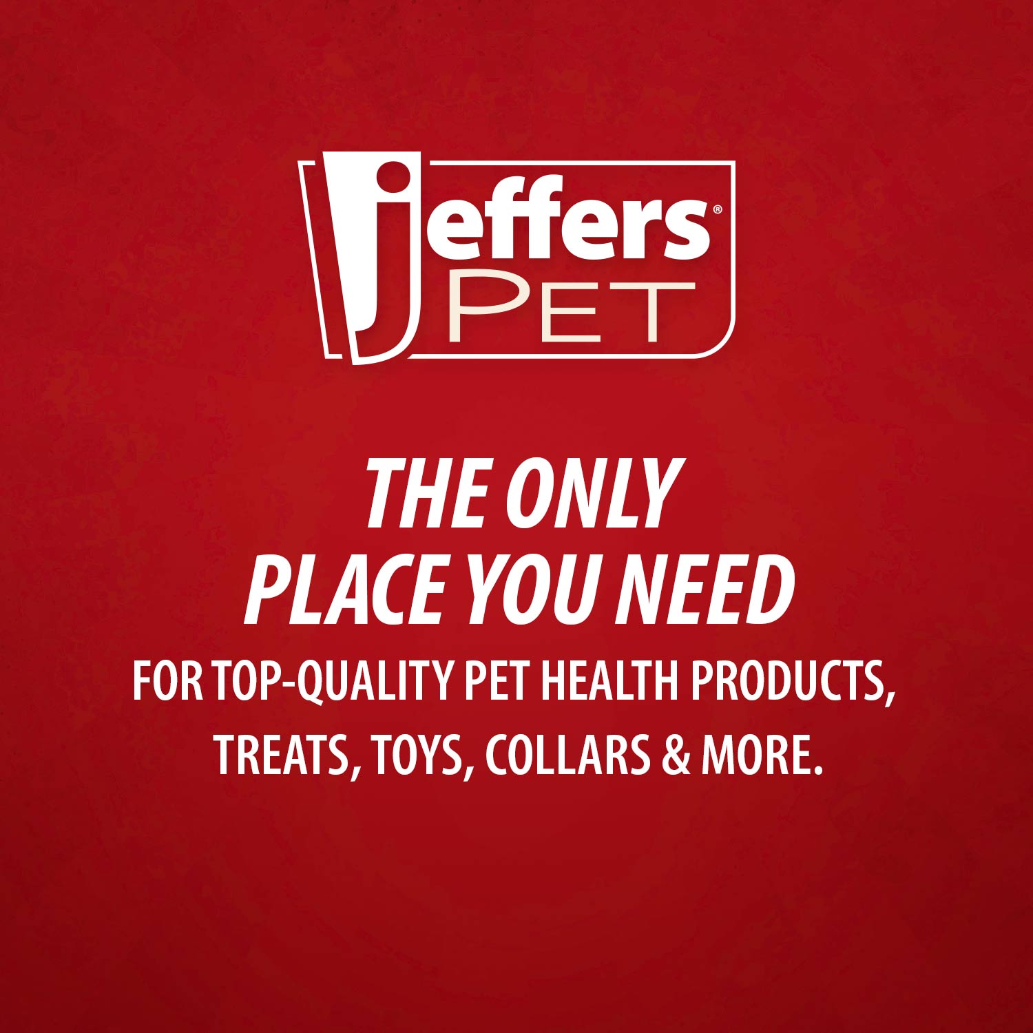 Jeffers Floating Natural Rubber Dog Chew Toy with Vanilla Scent for Dental Health and Water Play